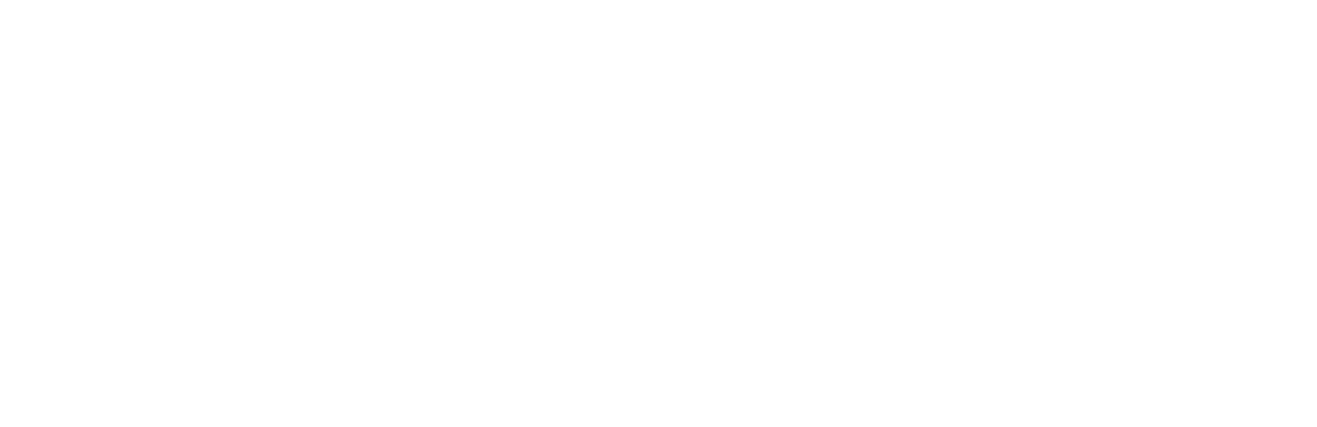 ActionX
